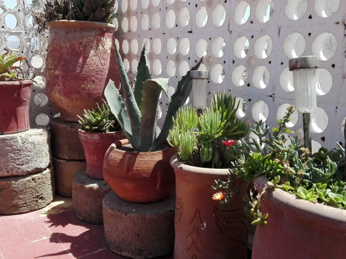 Dar El Paco Bed & Breakfast Essaouira